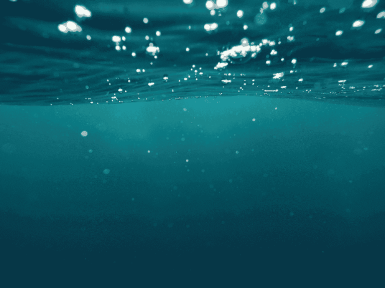 浮游生物网选型指南（2026）：海洋生物采样的专业工具